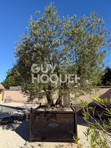 Maison bourgeoise Althen Des Paluds 20 pièces