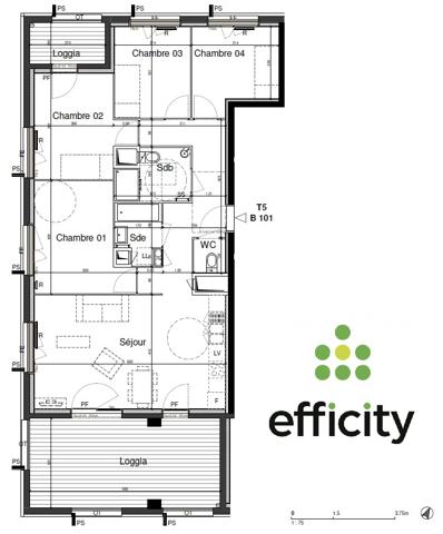 Appartement 5 pièces - 90 m² Exclusivité efficity