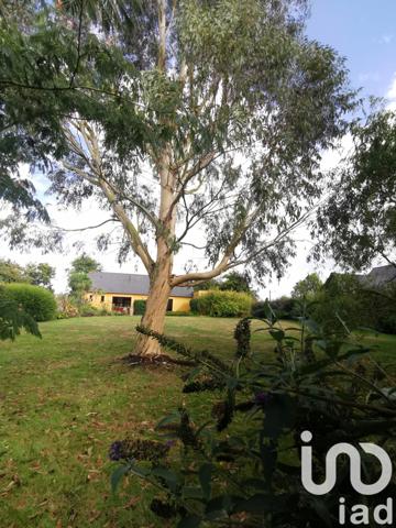 Maison à vendre 6 pièces 147 m² Plourhan