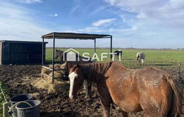 Domaine équestre entre mer et nature