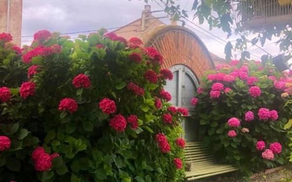 Appartement à vendre    4 pièces • 115 m2 Perpignan