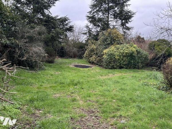 Terrain à bâtir - 560m²