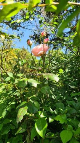 Maison à vendre 6 pièces de 173 m²