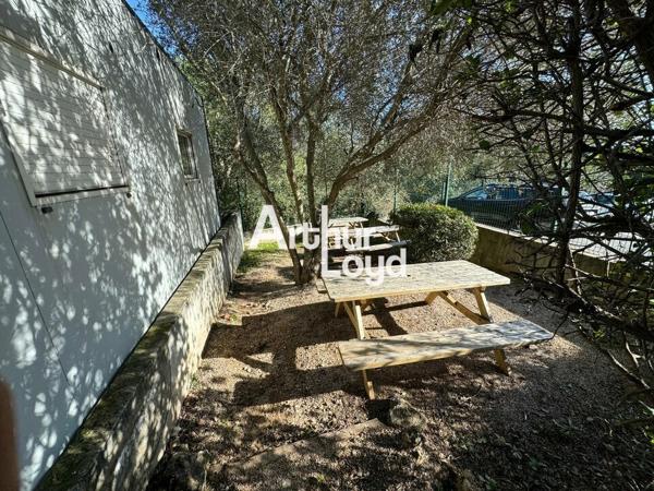 Bureaux de standing à louer 257 m² en étage - Biot
