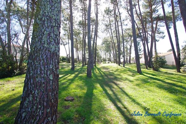 Maison de 33,69 m² carrez avec une chambre et une mezzanine (4 couchages) dans la résidence Vendéennes 1