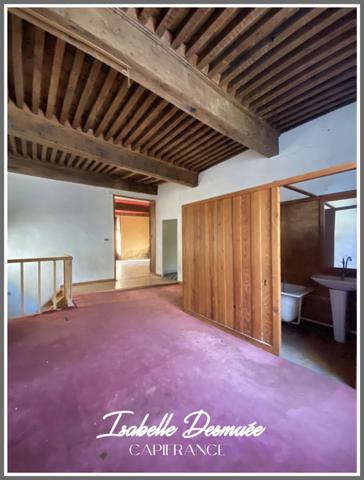 Plateau nu à rénover complètement - SAINT GEOIRE EN VALDAINE (38)