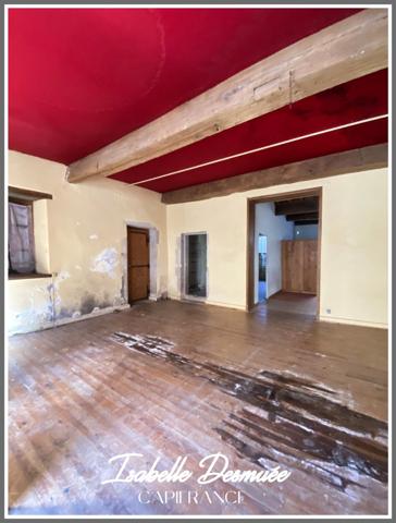 Plateau nu à rénover complètement - SAINT GEOIRE EN VALDAINE (38)