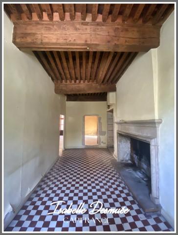 Plateau nu à rénover complètement - SAINT GEOIRE EN VALDAINE (38)