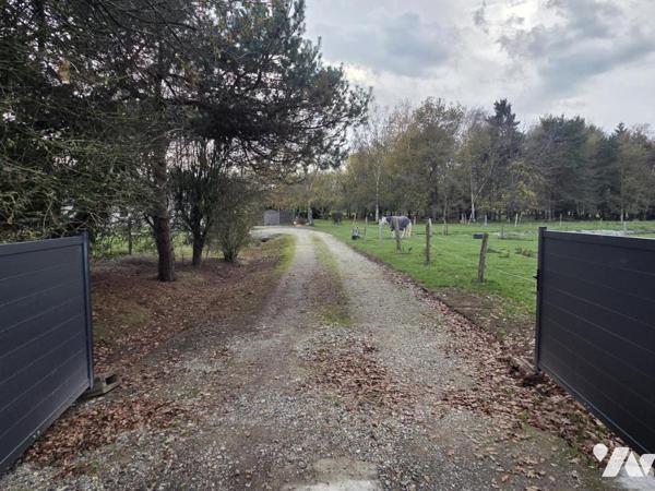 10 min de Château-Gontier. Une longère + un gîte. Terrain de 3.3ha avec plan d'eau de 12.400m².