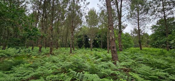 Très bien situé, emplacement idéal.