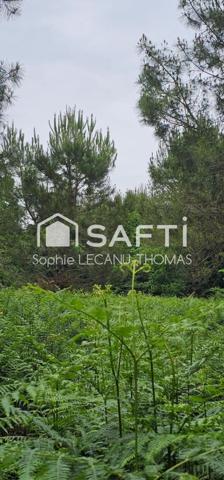 Très bien situé, emplacement idéal.