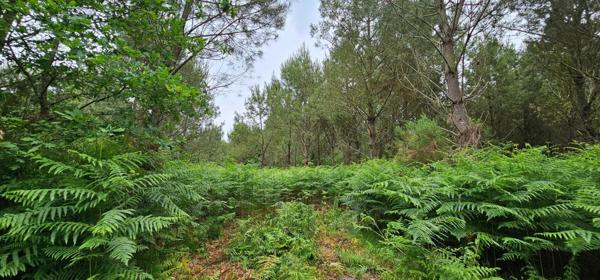 Très bien situé, emplacement idéal.