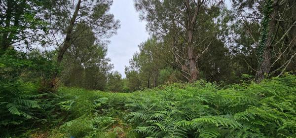 Très bien situé, emplacement idéal.