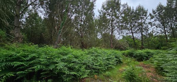 Très bien situé, emplacement idéal.