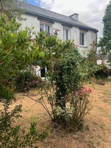 Maison à vendre à Baden dans le Morbihan (56870), ref : 56001-1130