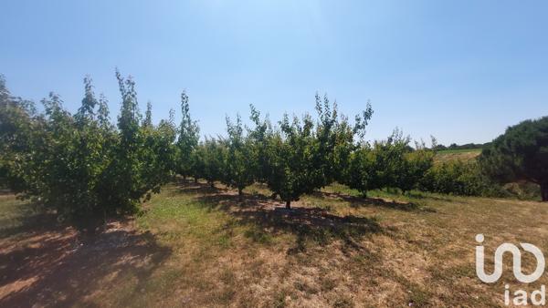 Terrain à vendre 8 467 m² Générac