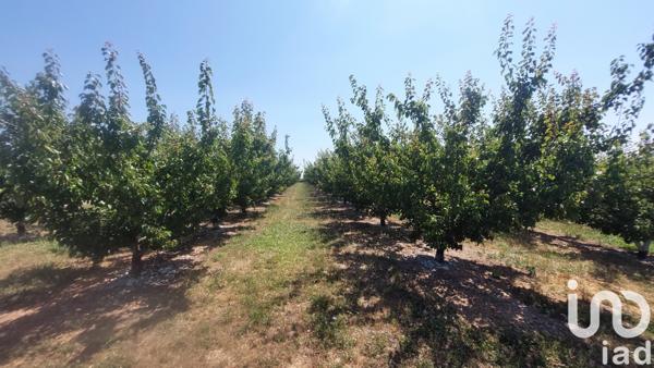 Terrain à vendre 8 467 m² Générac