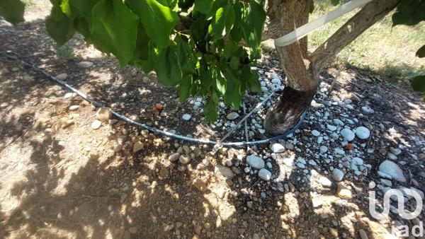 Terrain à vendre 8 467 m² Générac