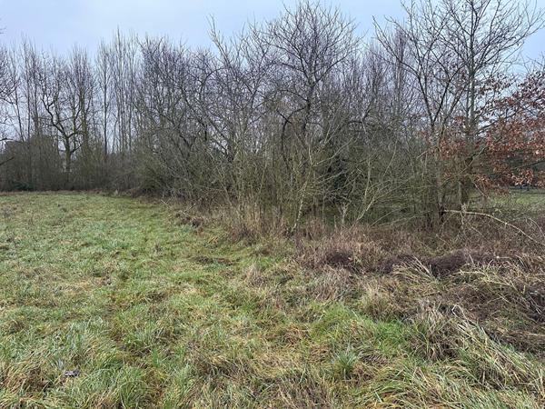 Terrain 1317 m2