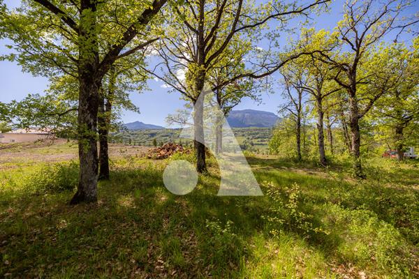 Terrain 770 m2