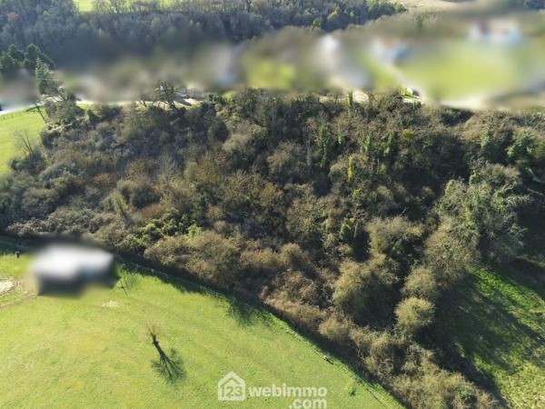 Terrain constructible 7439 m² à Montamisé 86360