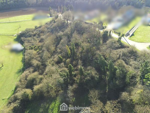 Terrain constructible 7439 m² à Montamisé 86360