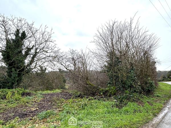 Terrain constructible 7439 m² à Montamisé 86360