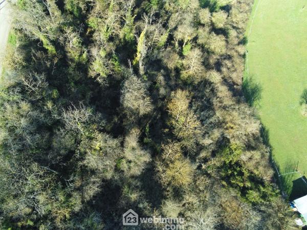 Terrain constructible 7439 m² à Montamisé 86360