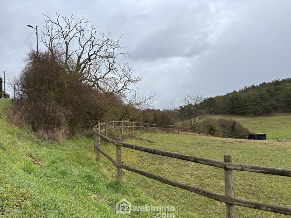 Terrain constructible 7439 m² à Montamisé 86360
