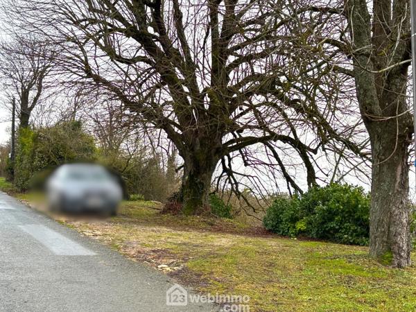 Terrain constructible 7439 m² à Montamisé 86360