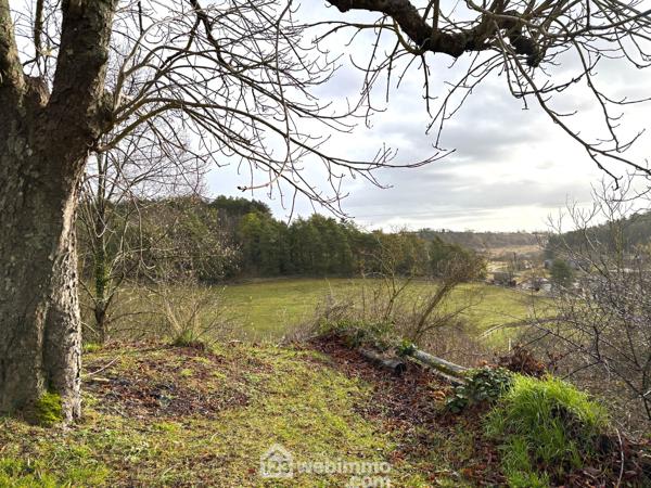 Terrain constructible 7439 m² à Montamisé 86360