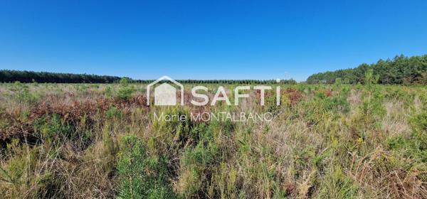 Terrain forestier de 2h à Sanguinet