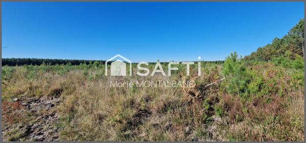 Terrain forestier de 2h à Sanguinet