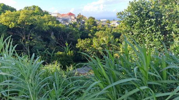 Immobilier Sainte-Marie (97438) – Terrain constructible 423m2 – 126 000 €