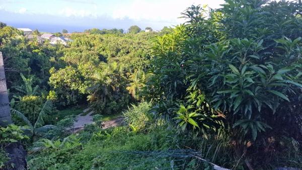 Immobilier Sainte-Marie (97438) – Terrain constructible 423m2 – 126 000 €