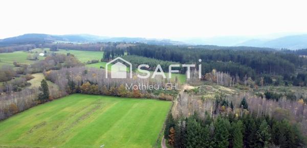 Maison 4 pièces 116m² + hangar