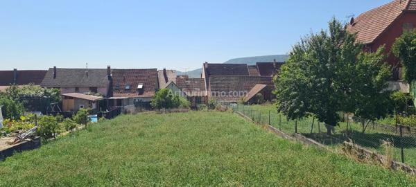Vente                                                      Terrain
                        
                                         677 m2                     à Obermorschwihr