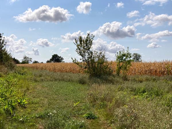 Maison sur Marans à rénover.