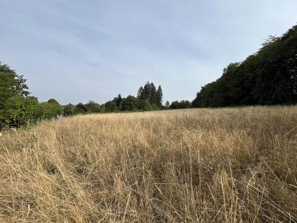 Terrain à vendre 27 500 € Savennes 2977 m² DPE