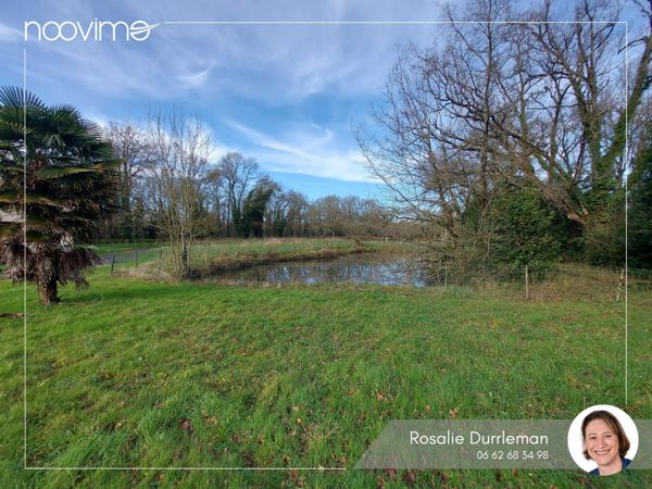 Une maison à réinventer au cœur de la nature