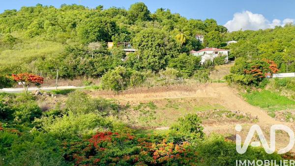 Terrain à vendre 629 m² Vieux-Habitants