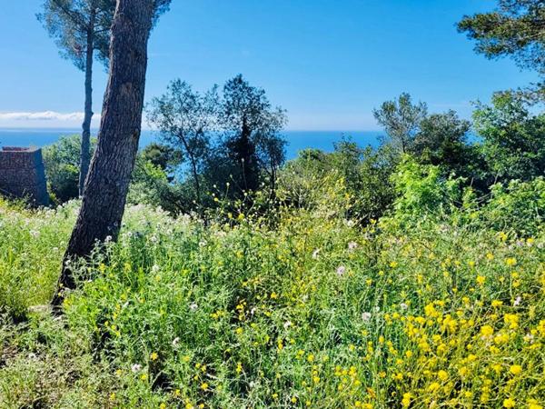 Terrain(s) constructible(s) pleine vue mer au calme, La Turbie 1500m2 proche Monaco