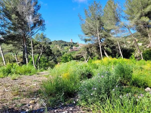 Terrain(s) constructible(s) pleine vue mer au calme, La Turbie 1500m2 proche Monaco