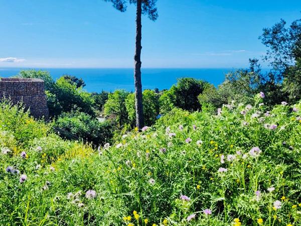 Terrain(s) constructible(s) pleine vue mer au calme, La Turbie 1500m2 proche Monaco