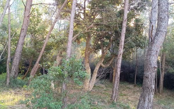 Terrain à vendre    Six-Fours-les-Plages