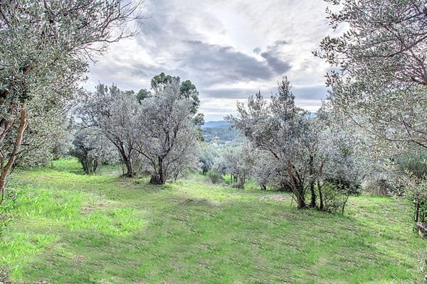 A VENDRE EN EXCLUSIVITÉ ! VIAGER OCCUPÉ à CALLAS Maison 3 pièces 95 m² + Dépendance sur 5520 m² de terrain