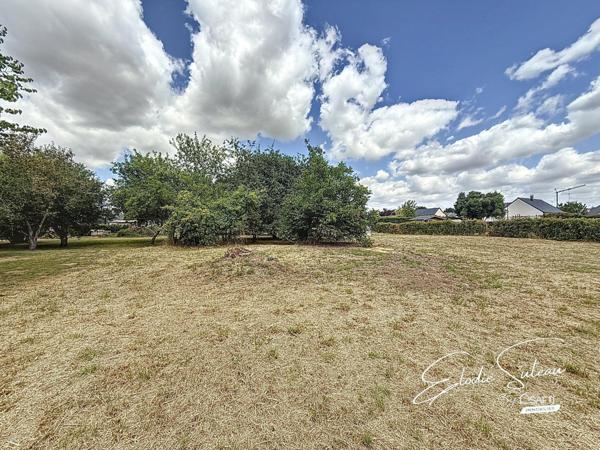 Terrain constructible 1408m2 8min Le Lion d'Angers
