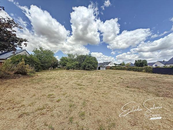 Terrain constructible 1408m2 8min Le Lion d'Angers