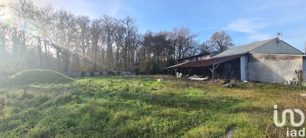 Appartement 6 pièces de 150 m² à Parempuyre (33290)