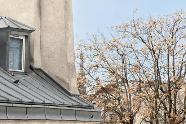 Appartement Paris 7 e - CARRÉ DES ANTIQUAIRES